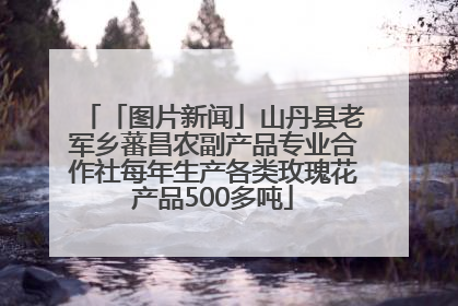 「图片新闻」山丹县老军乡蕃昌农副产品专业合作社每年生产各类玫瑰花产品500多吨